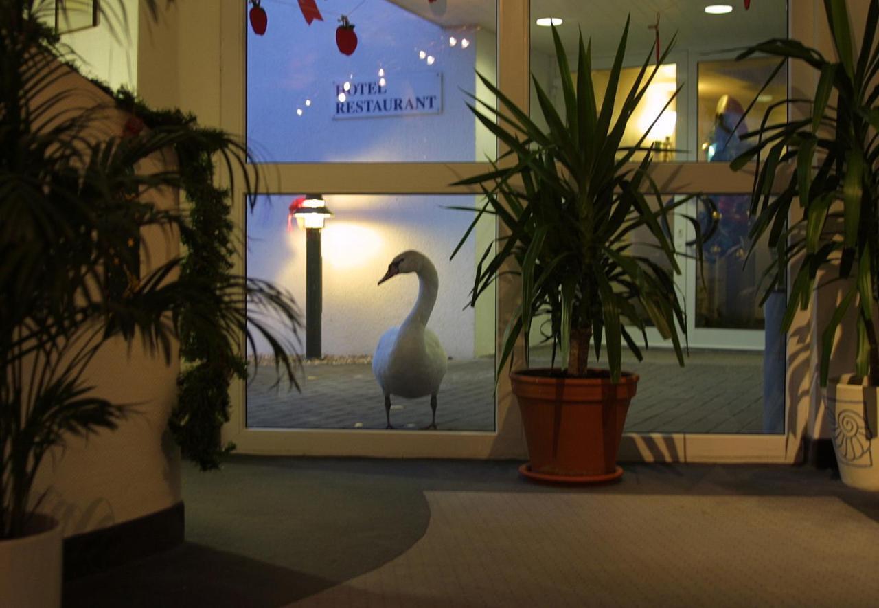 Seehotel Luisenhof Falkenhagen  Buitenkant foto